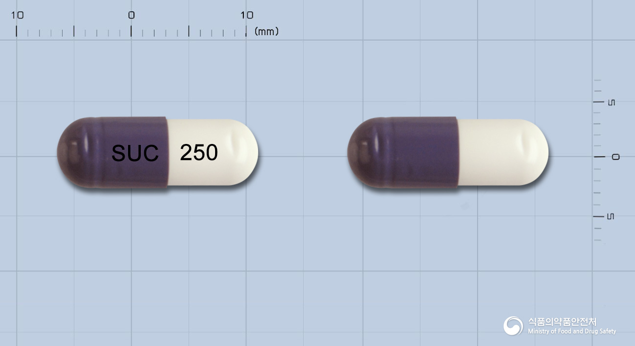 뉴세파캡슐 250mg