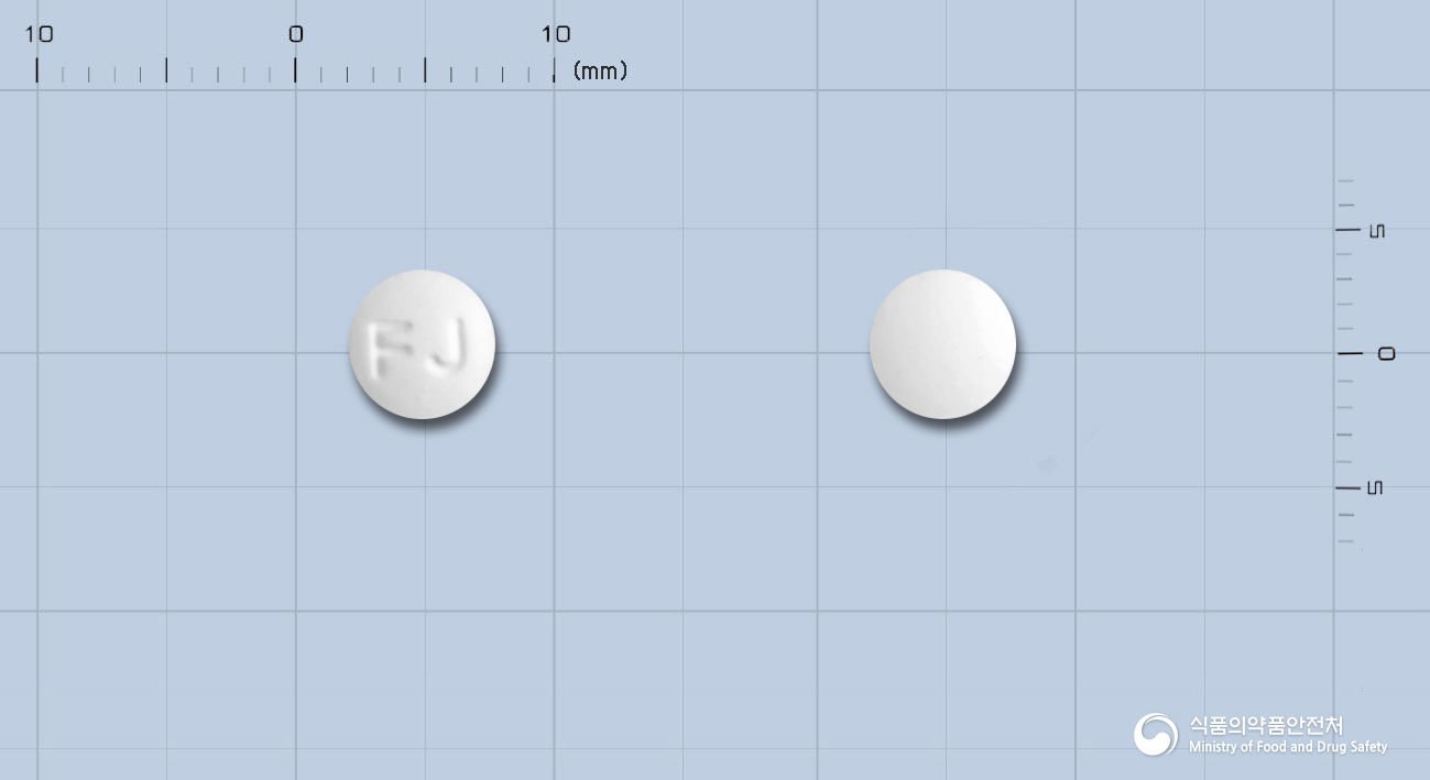 라푸진정 10mg