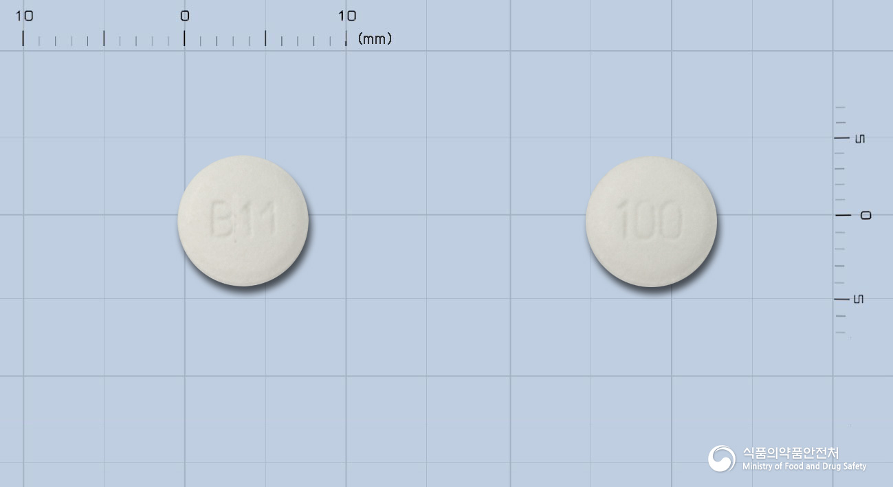 비마르크정 100mg