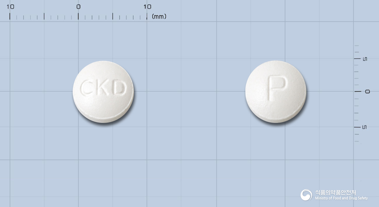 포독스정 100mg