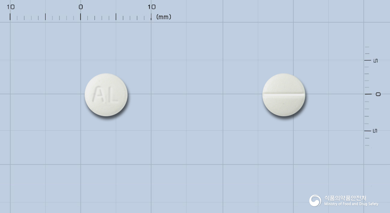 알러지논정 10mg