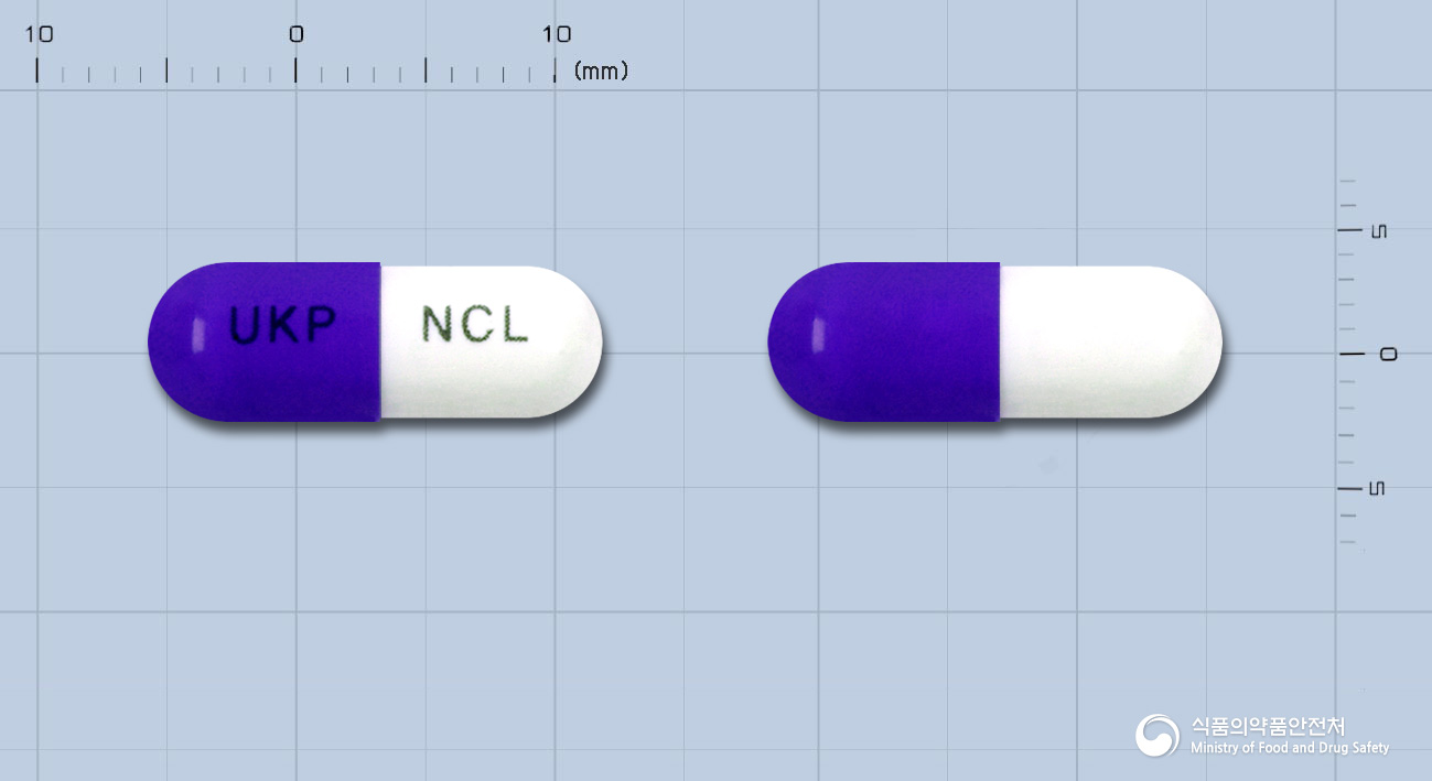 뉴클러캡슐 250mg