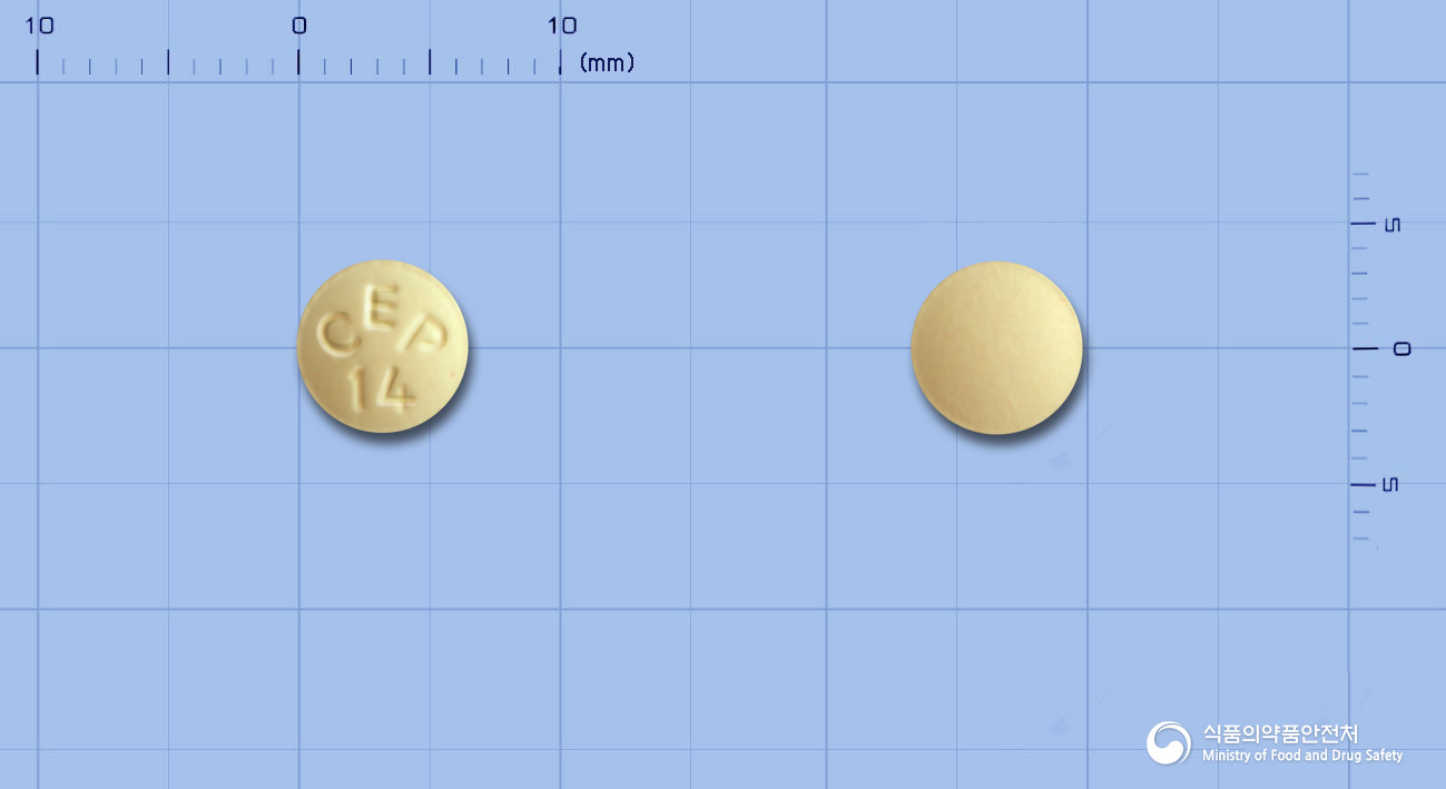 셀라스틴정 1mg