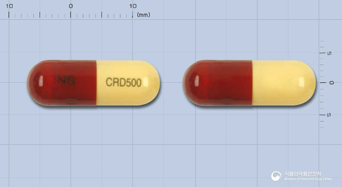 넬슨세프라딘캡슐 500mg