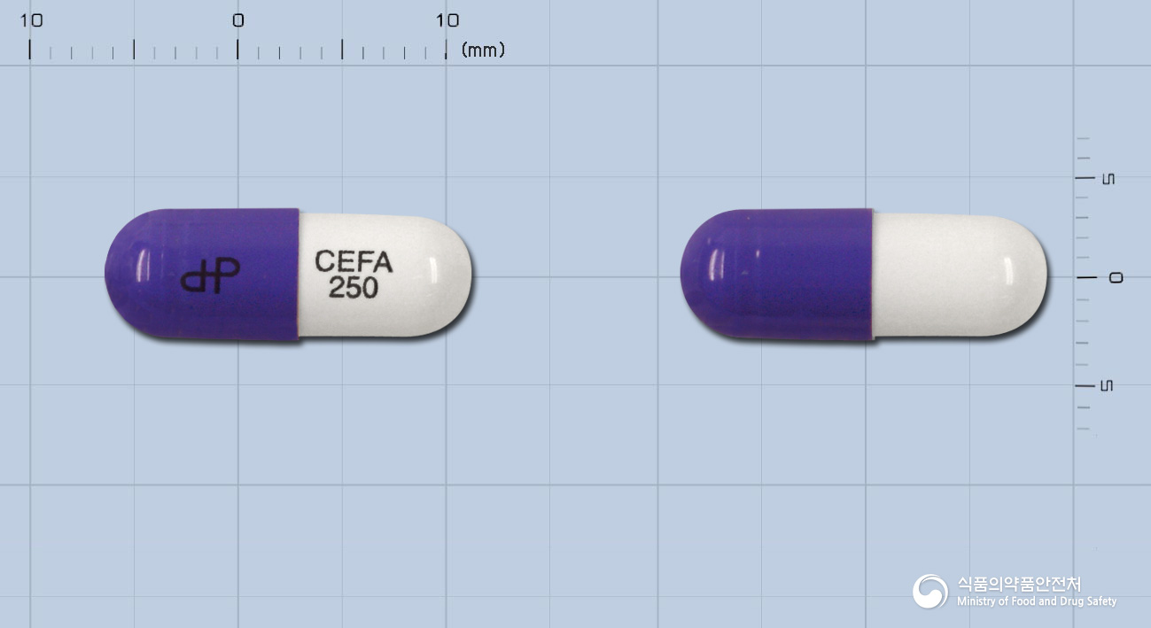 대화세파클러캡슐 250mg