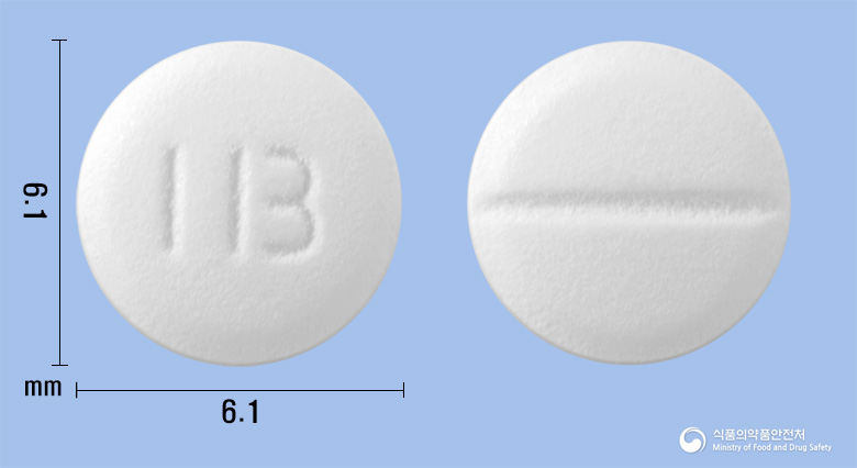 알레지나정 10mg