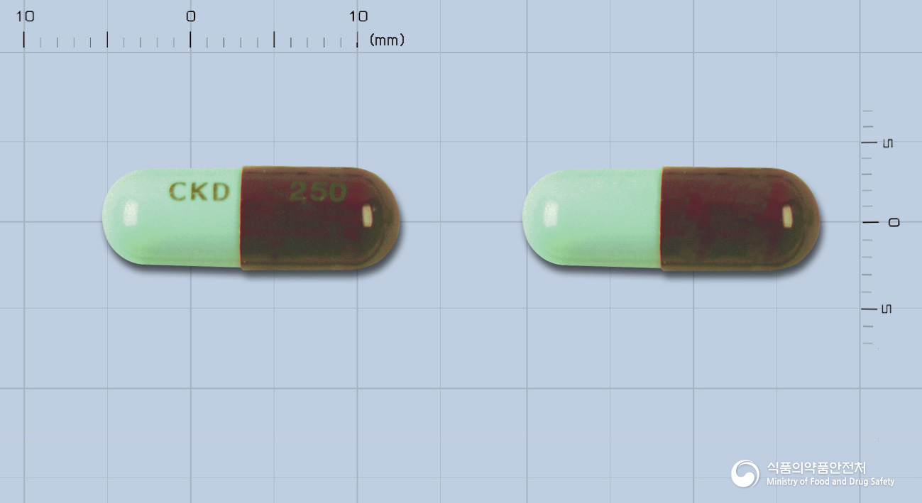 테라싸이클린캡슐 250mg