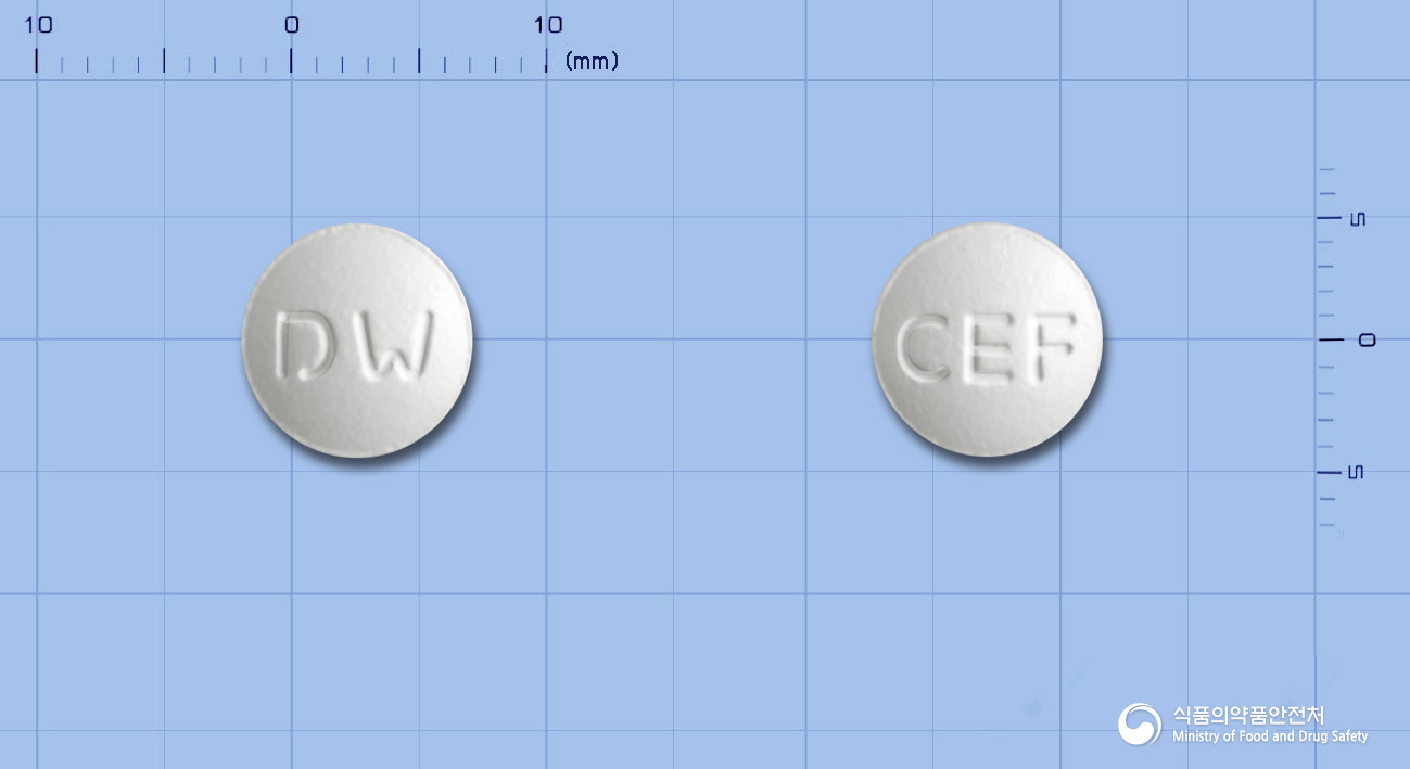 세프록틸정 100mg